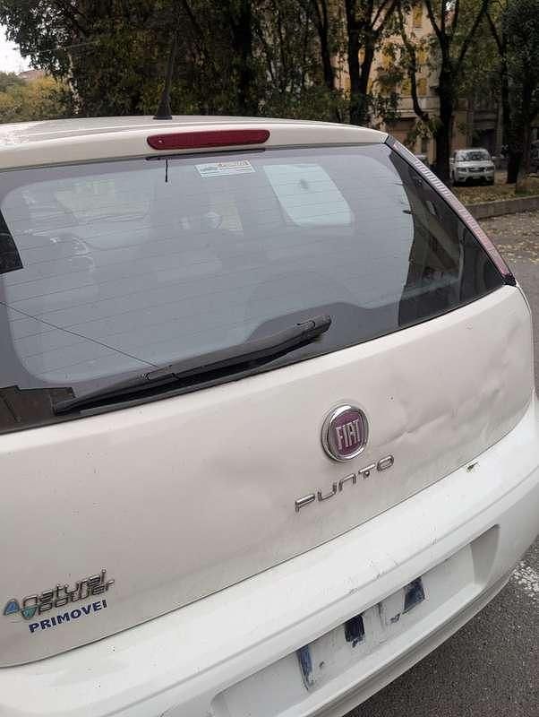 Usata Fiat Punto Pop 69 CV (50 kW) 2012 Bianco Berlina