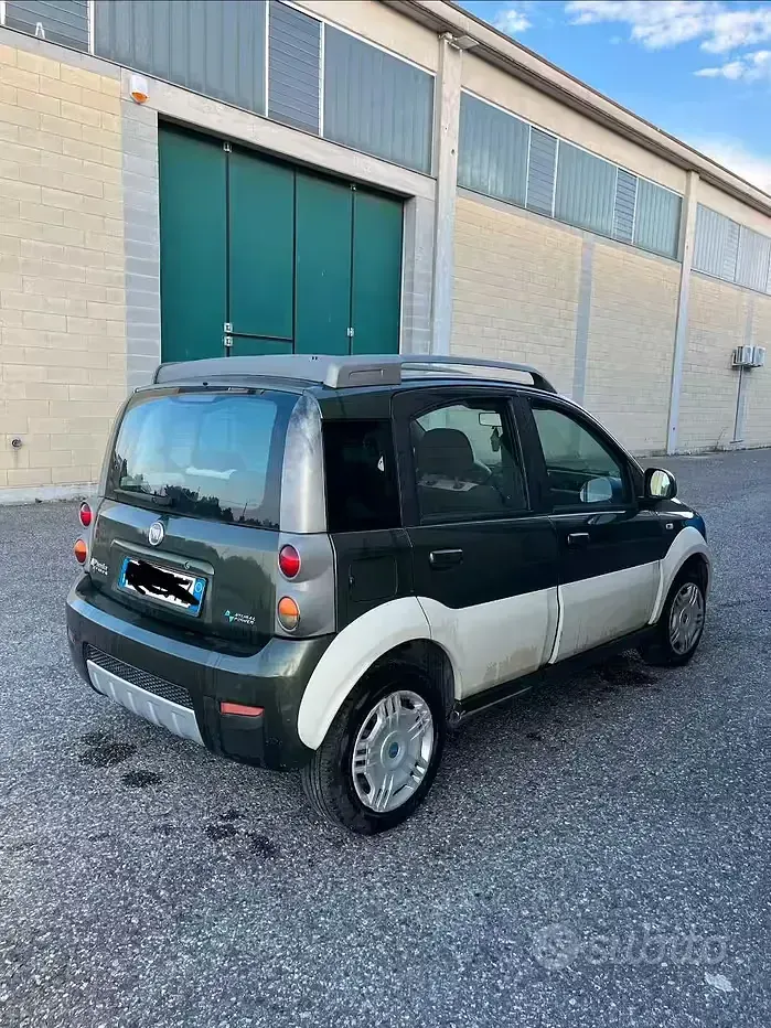 Usata Fiat Panda 60 CV (44 kW) 2009 Verde Utilitaria