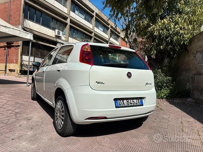 Usata Fiat Punto 77 CV (56 kW) 2009 Bianco Utilitaria