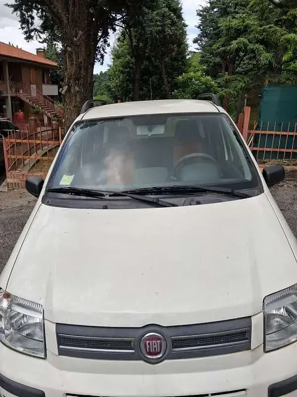 Usata Fiat Panda Dynamic 60 CV (44 kW) 2009 Utilitaria