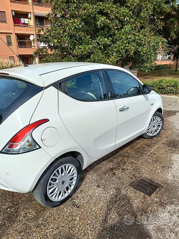 Usata Lancia Ypsilon Gold 69 CV (50 kW) 2017 Bianco Utilitaria