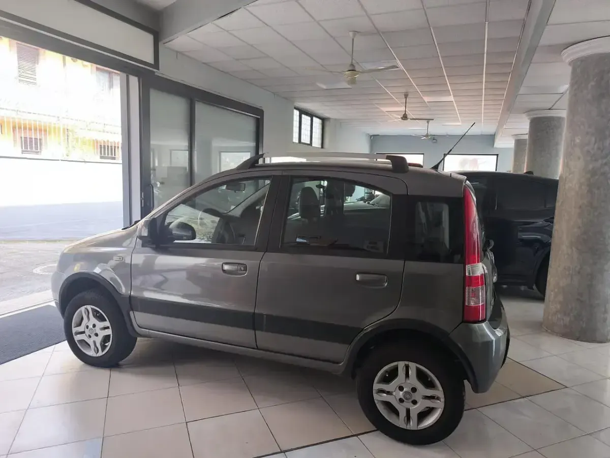 Usata Fiat Panda 4x4 Climbing 75 CV (55 kW) 2011 Grigio Utilitaria