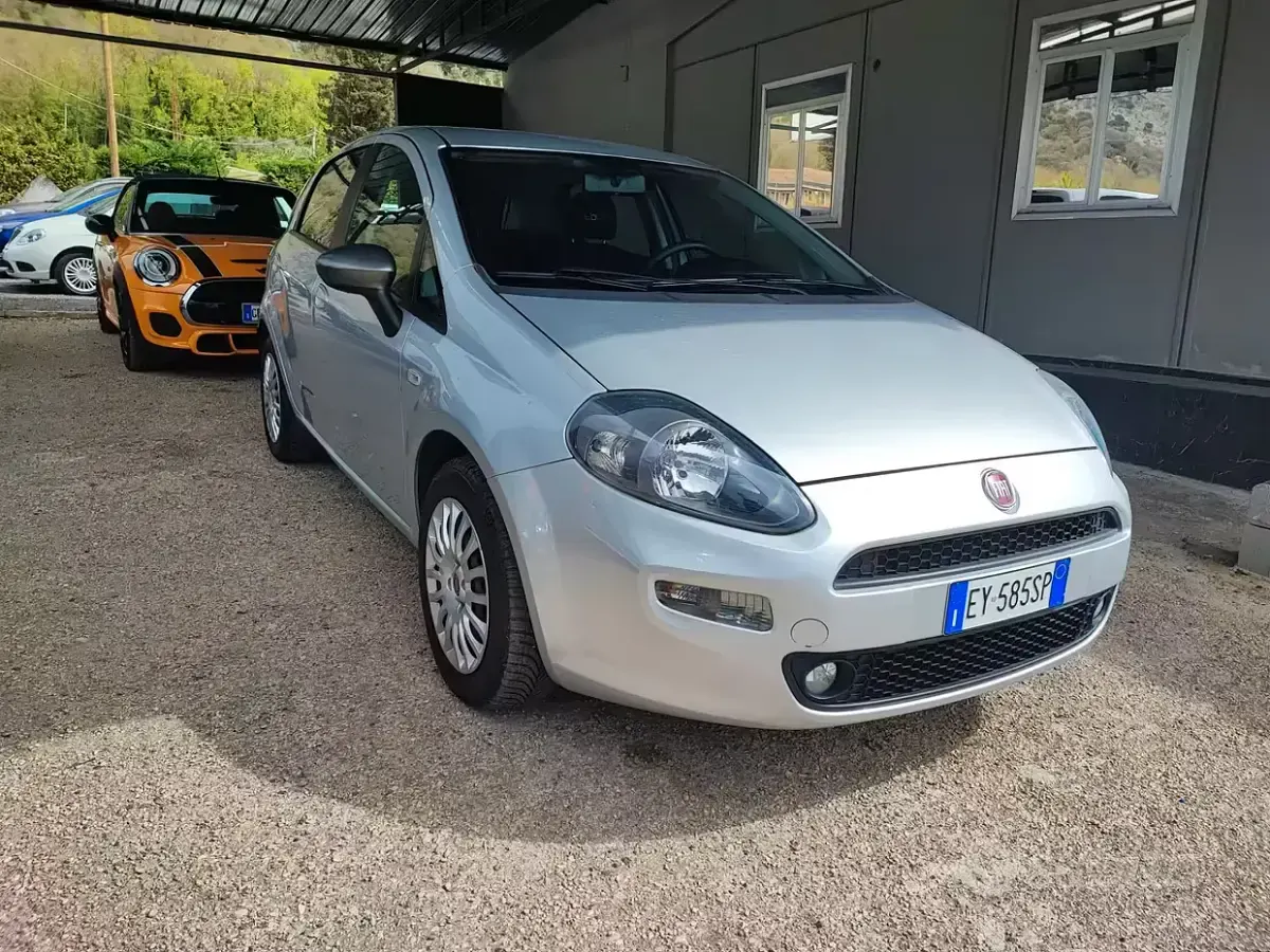 Usata Fiat Punto Lounge 75 CV (55 kW) 2015 Grigio Utilitaria