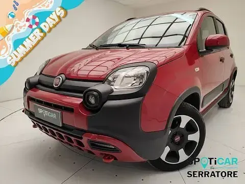 Usata Fiat Panda Cross Cross 70 CV (51 kW) 2024 Utilitaria