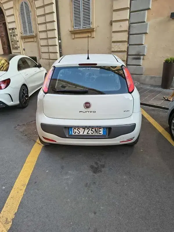 Usata Fiat Punto Evo Active 75 CV (55 kW) 2010 Bianco Utilitaria