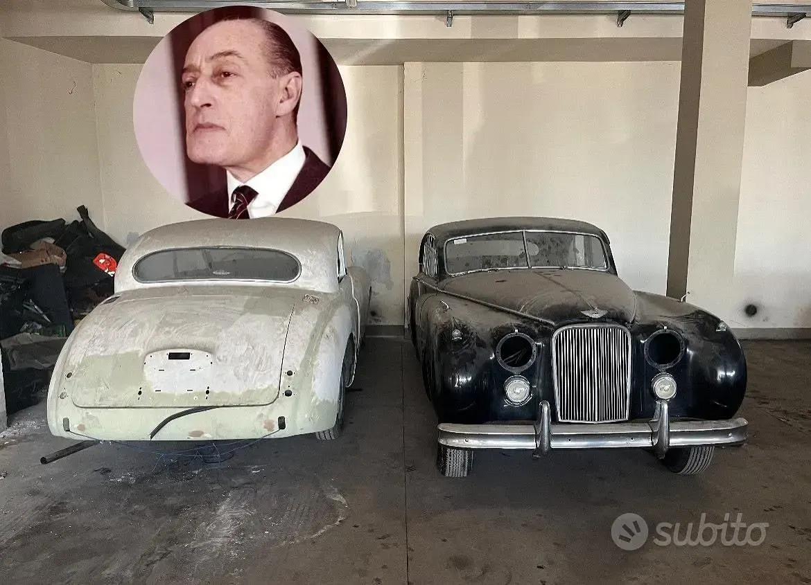 Usata Jaguar MK VII 1950 Berlina