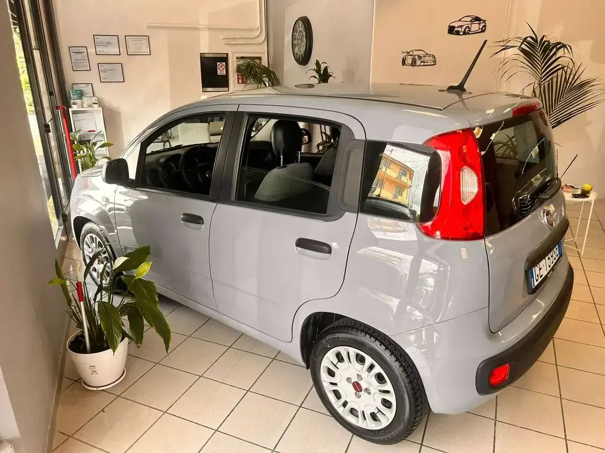 Usata Fiat Panda 69 CV (50 kW) 2021 Grigio Utilitaria