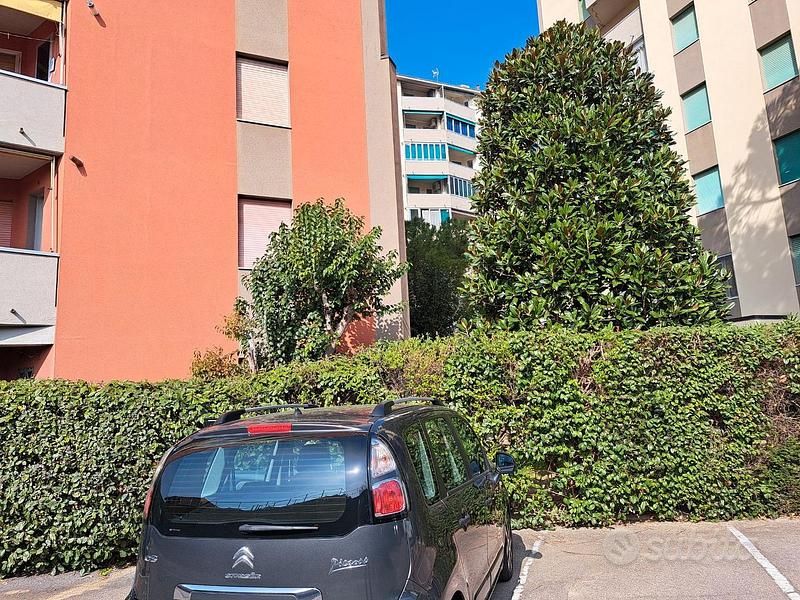 Usata Citroën C3 Picasso 92 CV (67 kW) 2014 Grigio Monovolume