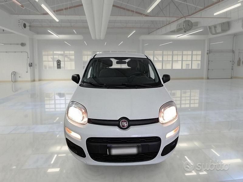 Usata Fiat Panda Easy 69 CV (50 kW) 2019 Bianco Utilitaria