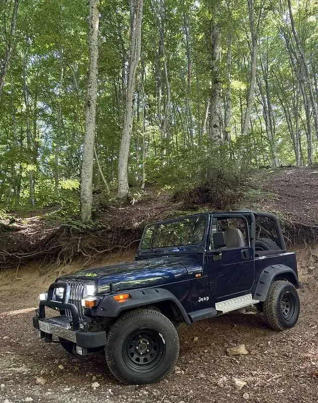 Usata Jeep Wrangler Laredo 184 CV (135 kW) 1994 SUV