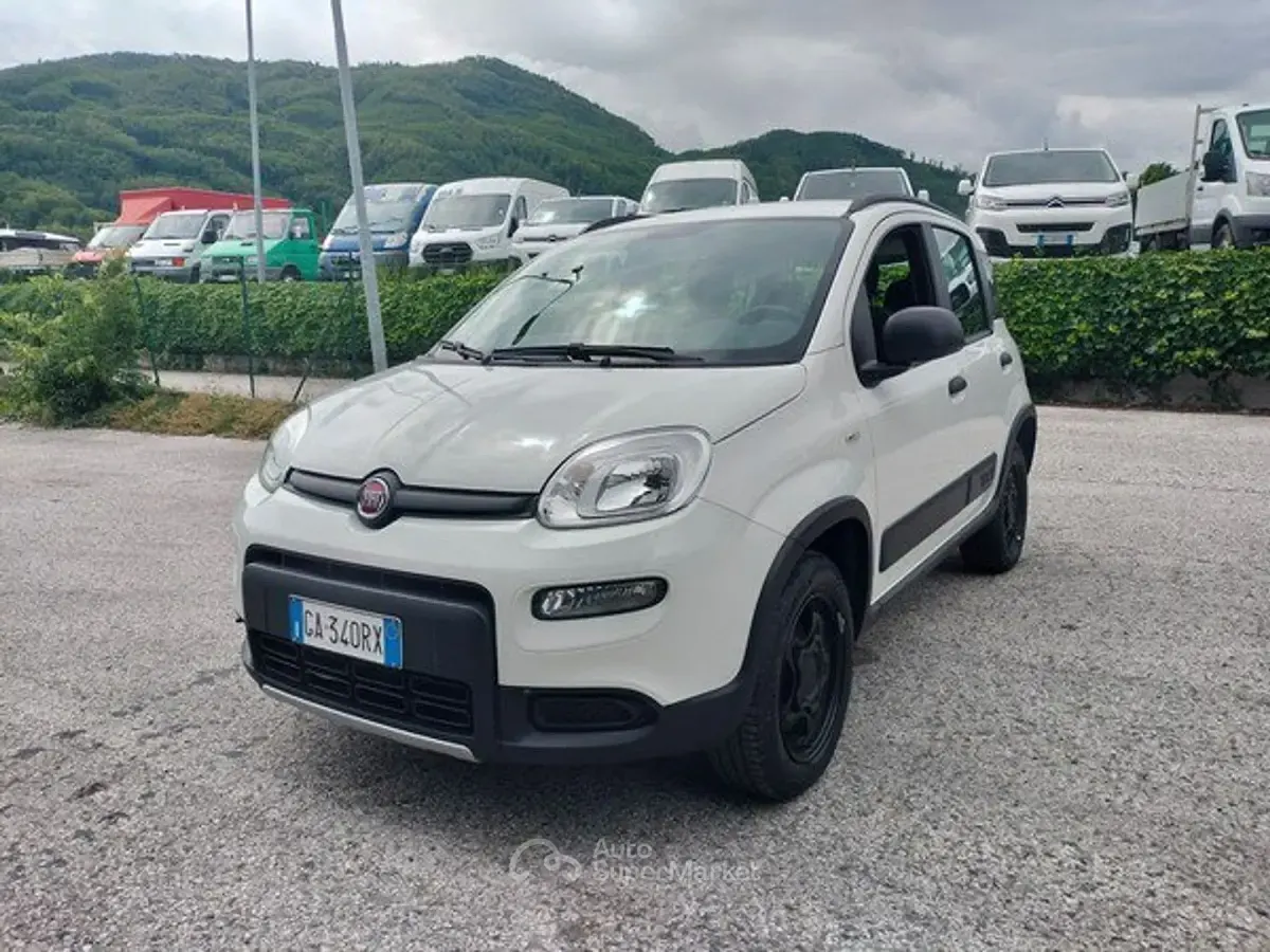 Usata Fiat Panda 4x4 S 86 CV (63 kW) 2020 Bianco Utilitaria