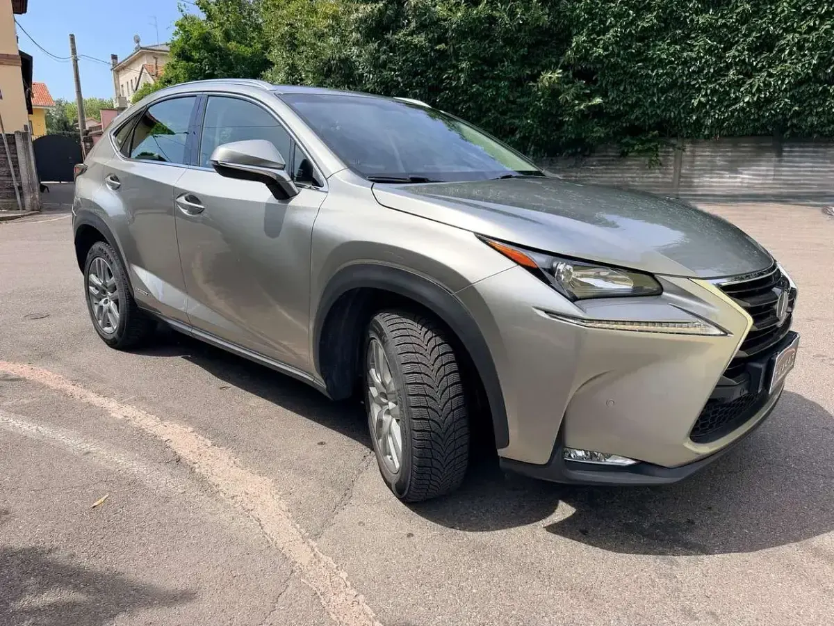 Usata Lexus NX300h Executive Line 197 CV (144 kW) 2016 Grigio SUV