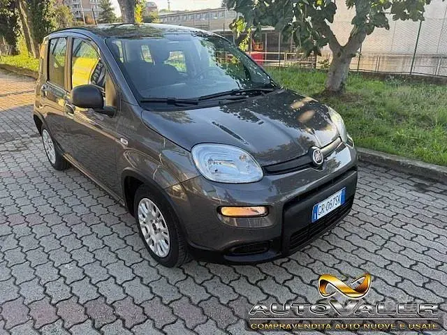 Usata Fiat Panda S 69 CV (50 kW) 2023 Grigio Utilitaria