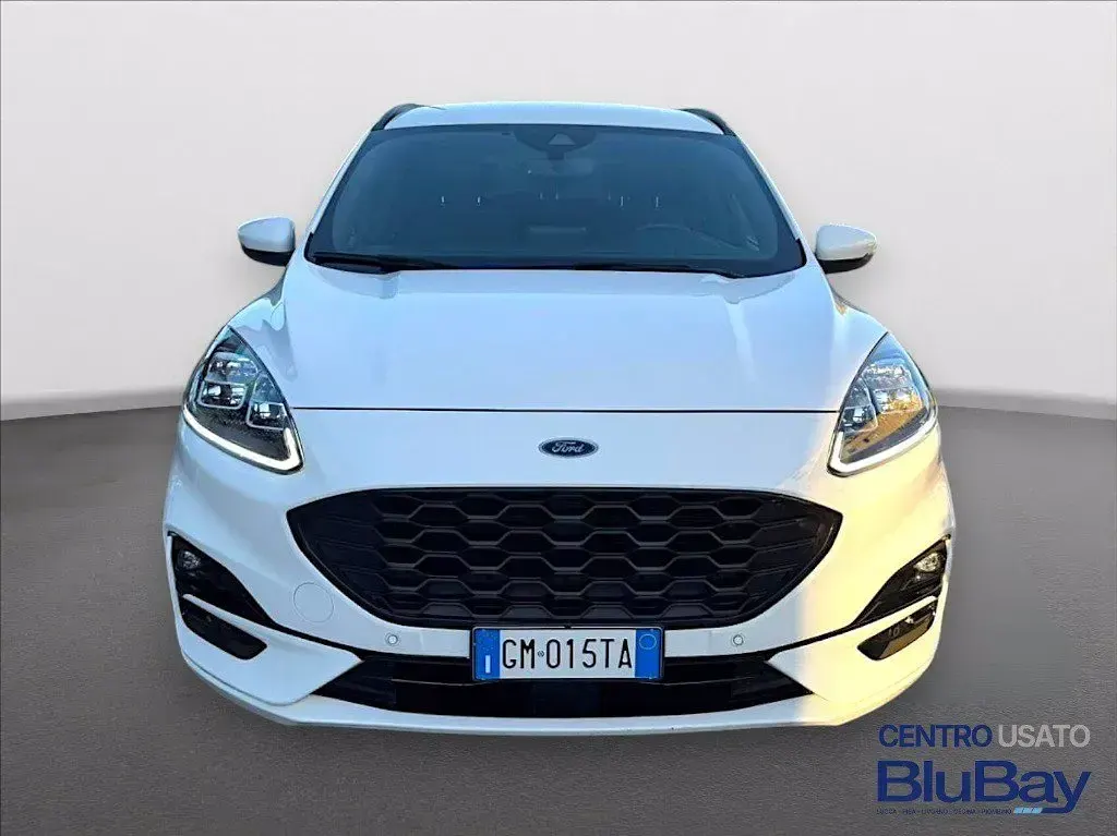 Usata Ford Kuga ST-Line X 225 CV (165 kW) 2023 Bianco SUV