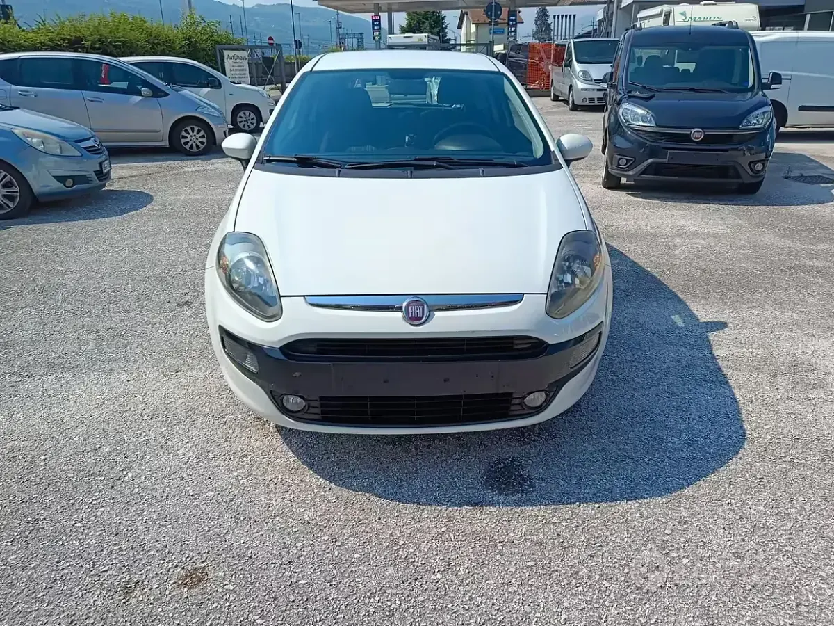 Usata Fiat Punto Evo Dynamic 69 CV (50 kW) 2011 Bianco Utilitaria