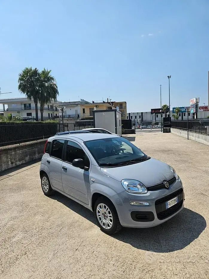 Usata Fiat Panda Easy 69 CV (50 kW) 2019 Grigio Utilitaria