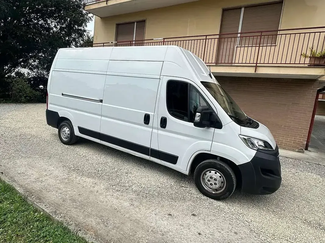 Usata Opel Movano 299 CV (219 kW) 2022 Bianco Furgone