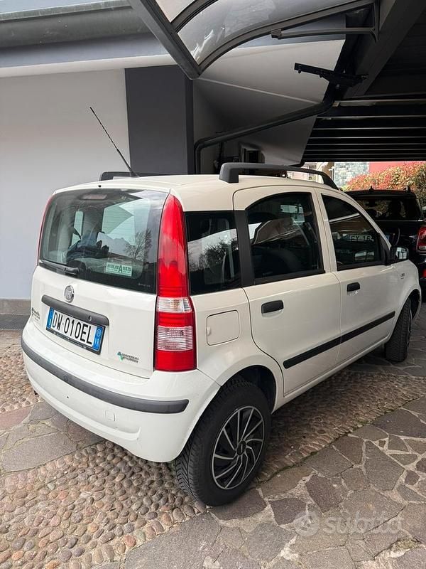 Usata Fiat Panda Dynamic 60 CV (44 kW) 2009 Bianco Utilitaria