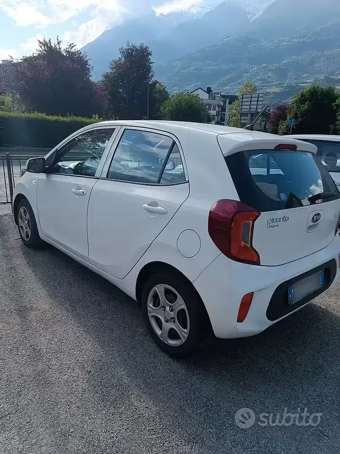 Usata Kia Picanto 67 CV (49 kW) 2019 Bianco Utilitaria