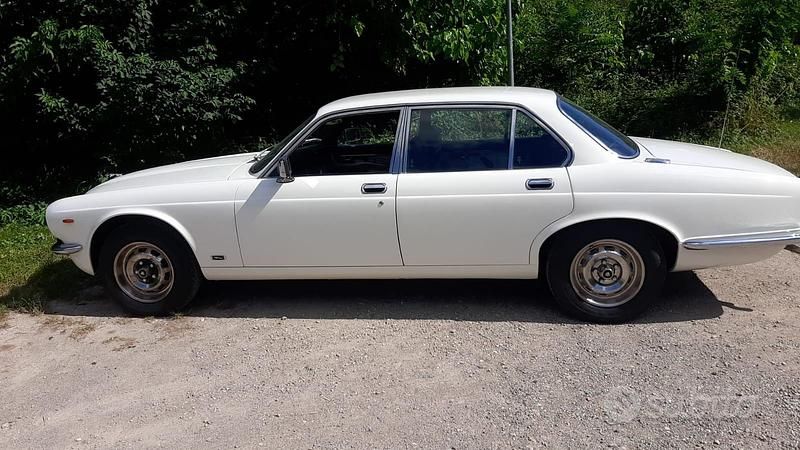 Usata Jaguar XJ6 1981 Bianco Berlina