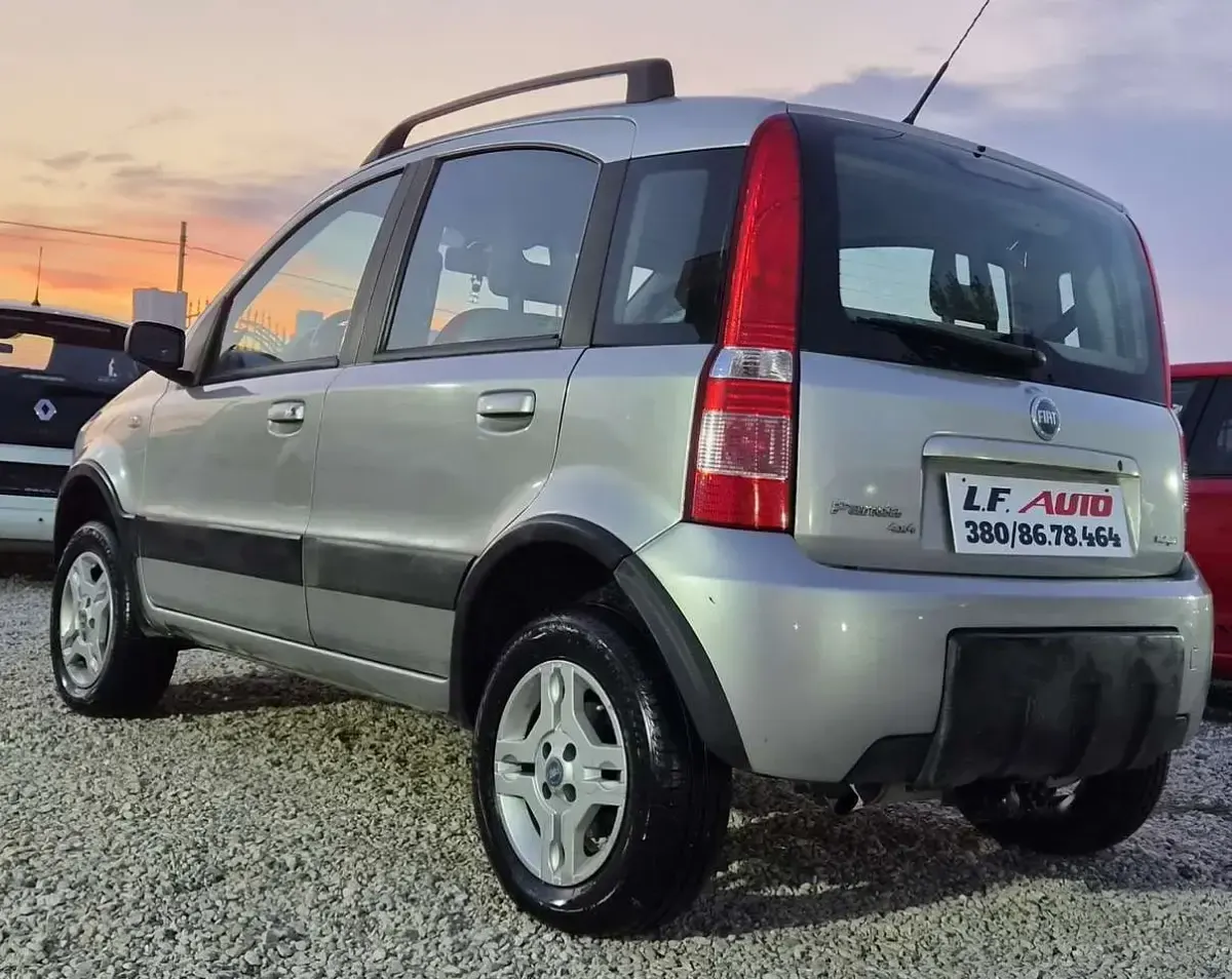 Usata Fiat Panda 4x4 Emotion 69 CV (50 kW) 2006 Argento Utilitaria