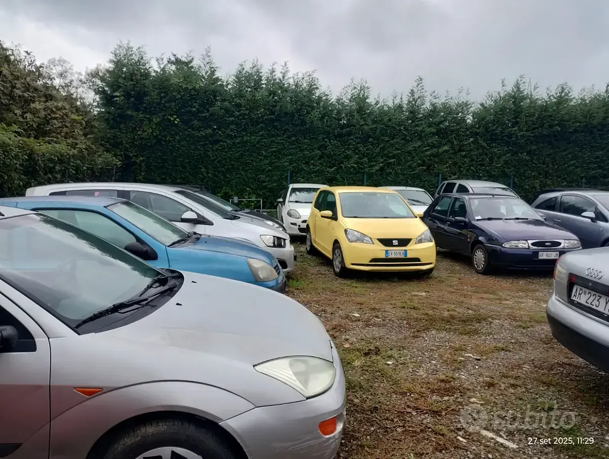 Usata Fiat Punto 80 CV (58 kW) 2009 Utilitaria