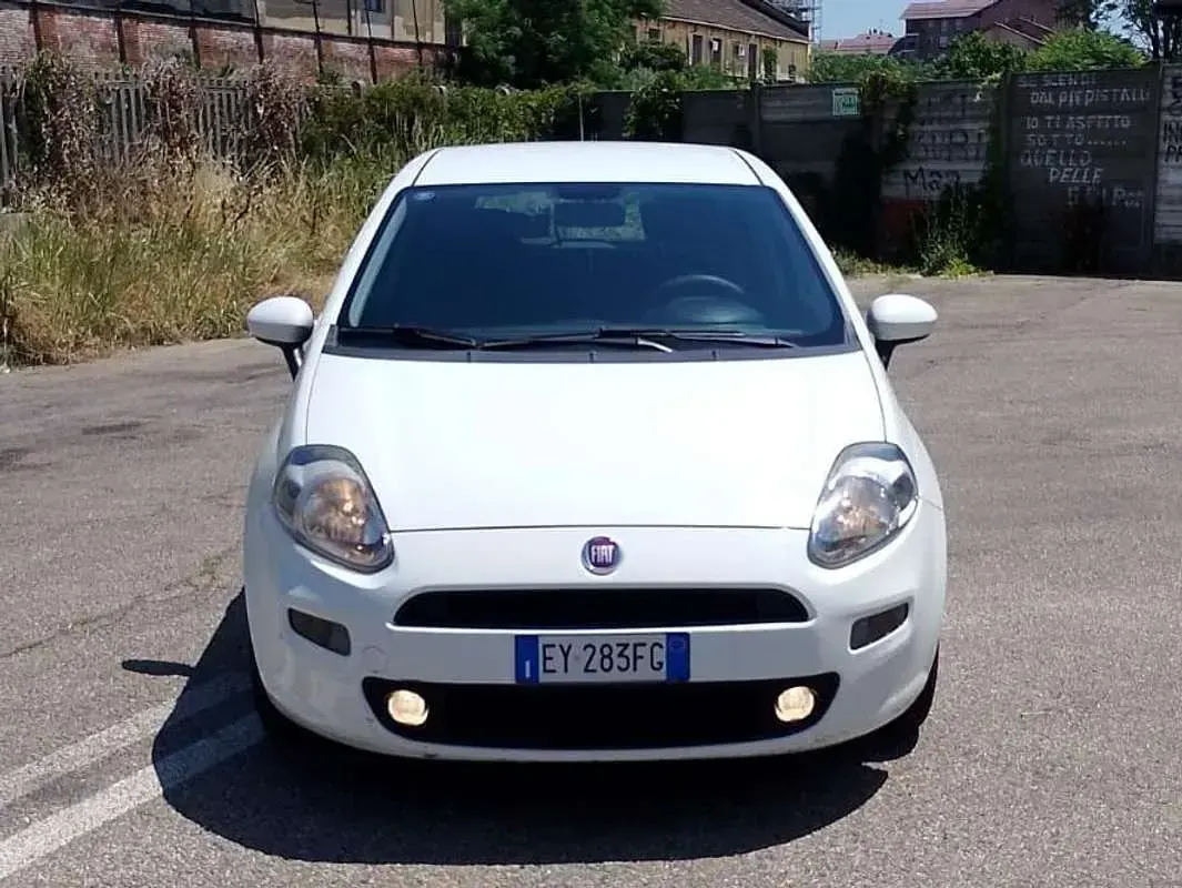 Usata Fiat Punto Evo Dynamic 75 CV (55 kW) 2015 Utilitaria