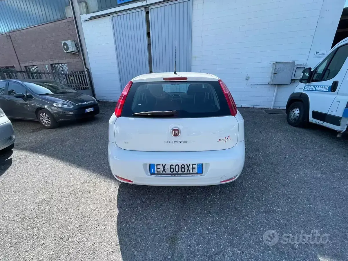 Usata Fiat Punto Young 75 CV (55 kW) 2014 Bianco Utilitaria