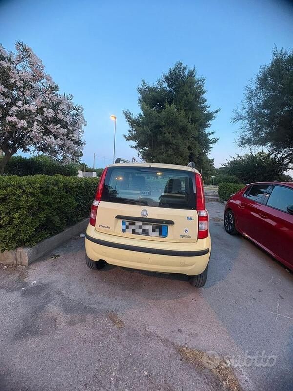 Usata Fiat Panda 77 CV (56 kW) 2010 Giallo Utilitaria
