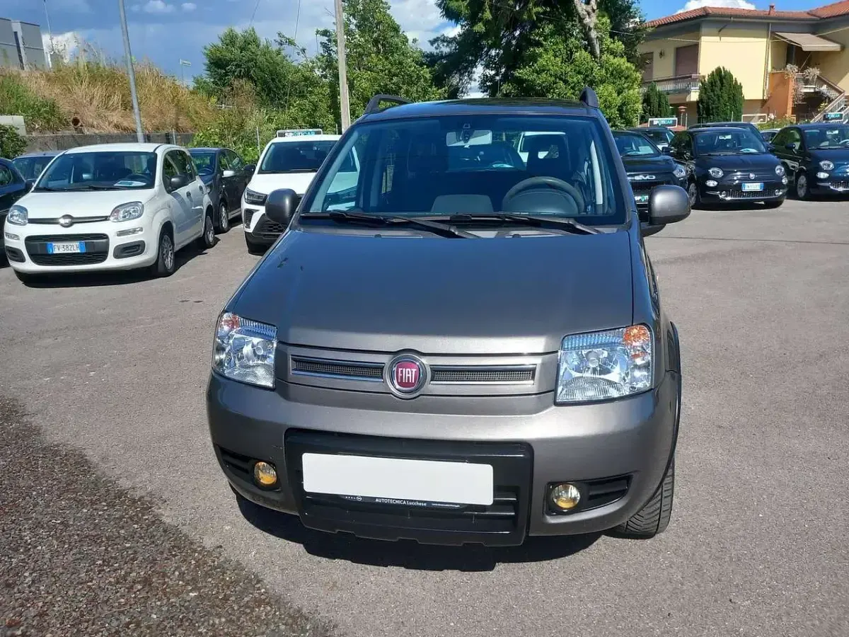 Usata Fiat Panda 4x4 Climbing 75 CV (55 kW) 2013 Grigio Utilitaria