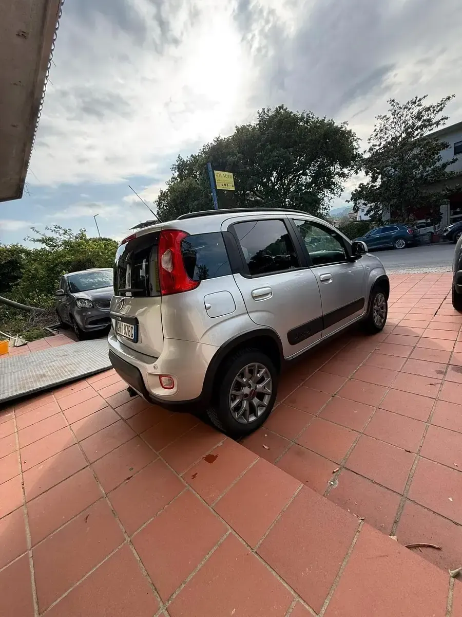 Usata Fiat Panda 4x4 S 95 CV (69 kW) 2019 Grigio Utilitaria