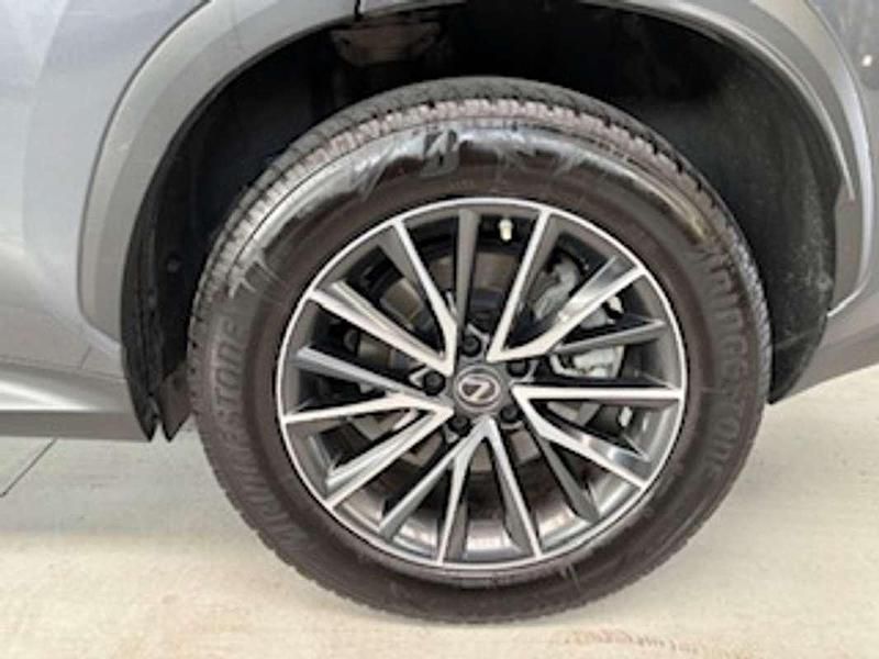 Usata Lexus NX450h+ 185 CV (136 kW) 2022 Grigio SUV