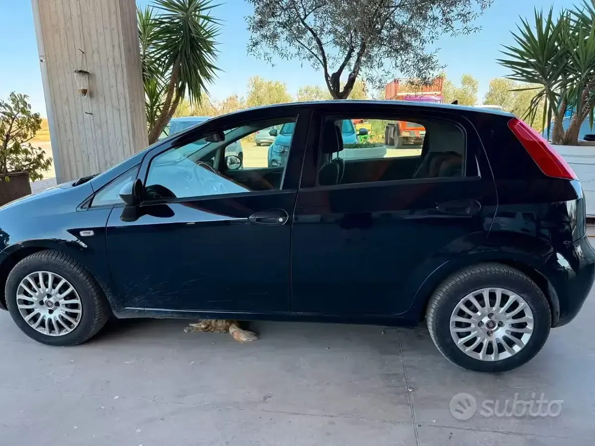 Usata Fiat Grande Punto 95 CV (69 kW) 2018 Bluazzurro Utilitaria