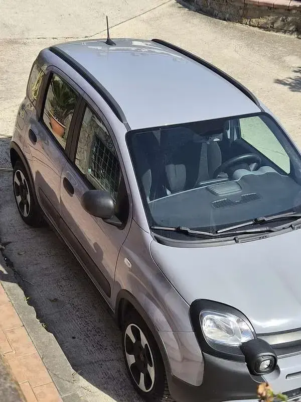Usata Fiat Panda Cross Cross 69 CV (50 kW) 2021 Utilitaria