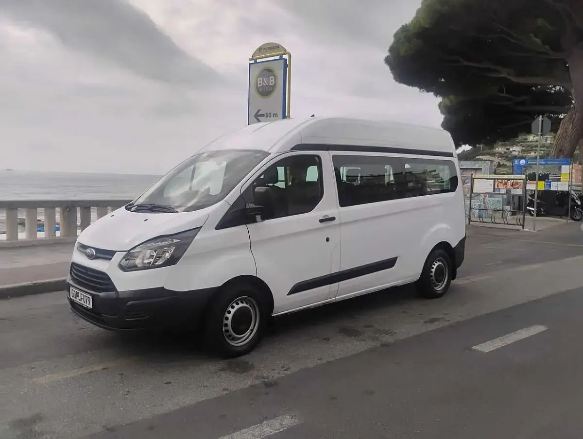 Usata Ford Transit Custom 101 CV (74 kW) 2014 Other