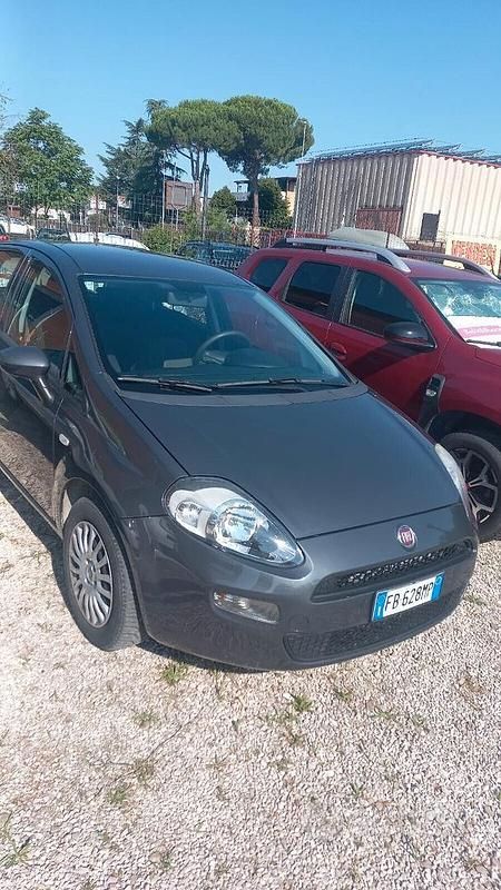 Usata Fiat Punto Lounge 69 CV (50 kW) 2016 Grigio Utilitaria