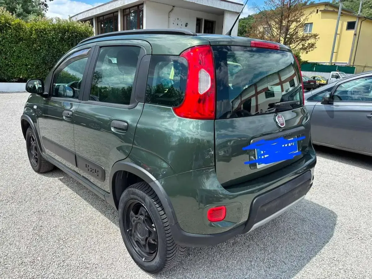 Usata Fiat Panda 4x4 S 95 CV (69 kW) 2018 Verde Utilitaria