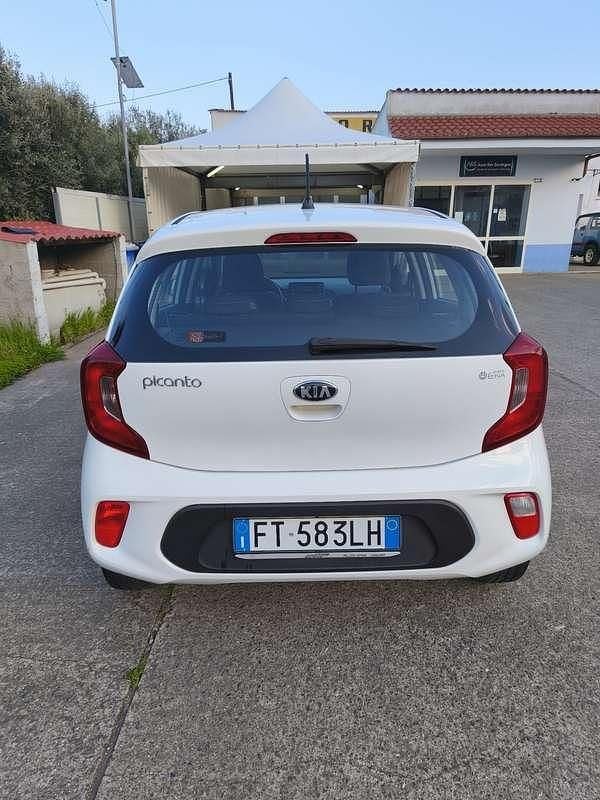 Usata Kia Picanto X-Line 67 CV (49 kW) 2019 Utilitaria