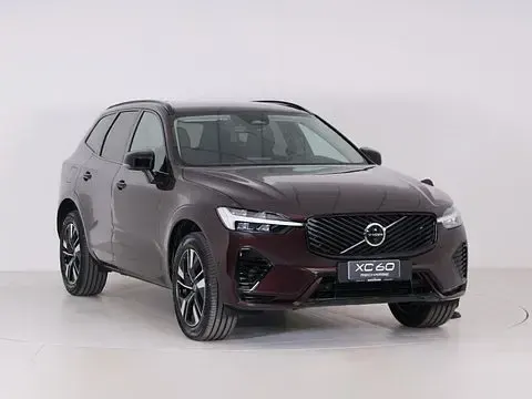 Nuova Volvo XC60 Plus 349 CV (256 kW) 2026 Rosso SUV