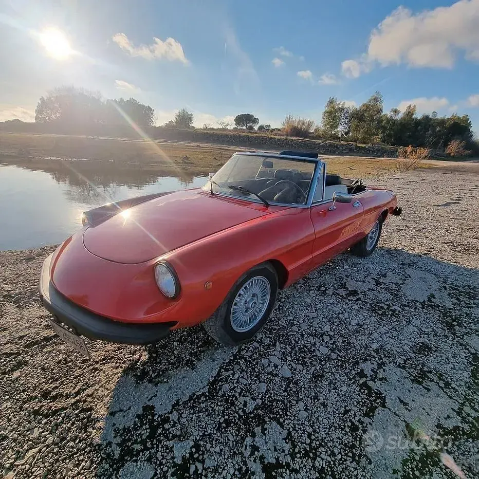 Usata Alfa Romeo Spider 1970 Cabrio