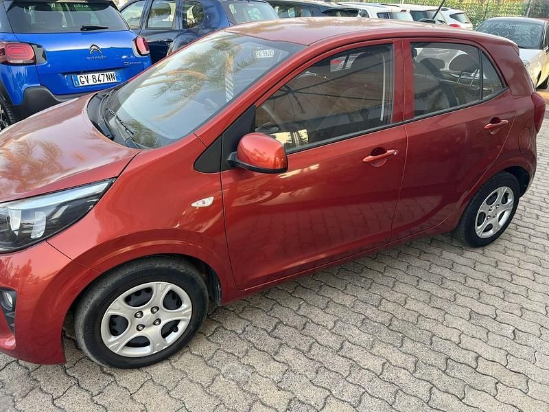 Usata Kia Picanto X-Line 67 CV (49 kW) 2023 Rosso Utilitaria