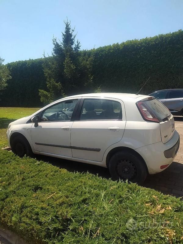 Usata Fiat Punto Evo 2010 Utilitaria