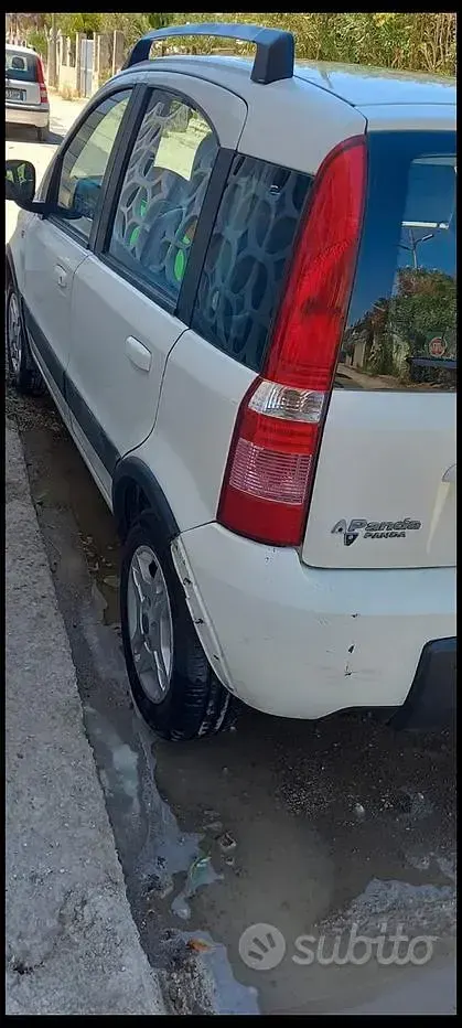 Usata Fiat Panda 60 CV (44 kW) 2009 Bianco Utilitaria