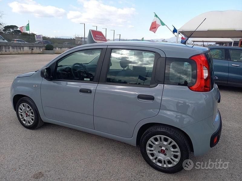 Usata Fiat Panda Easy 69 CV (50 kW) 2018 Grigio Utilitaria