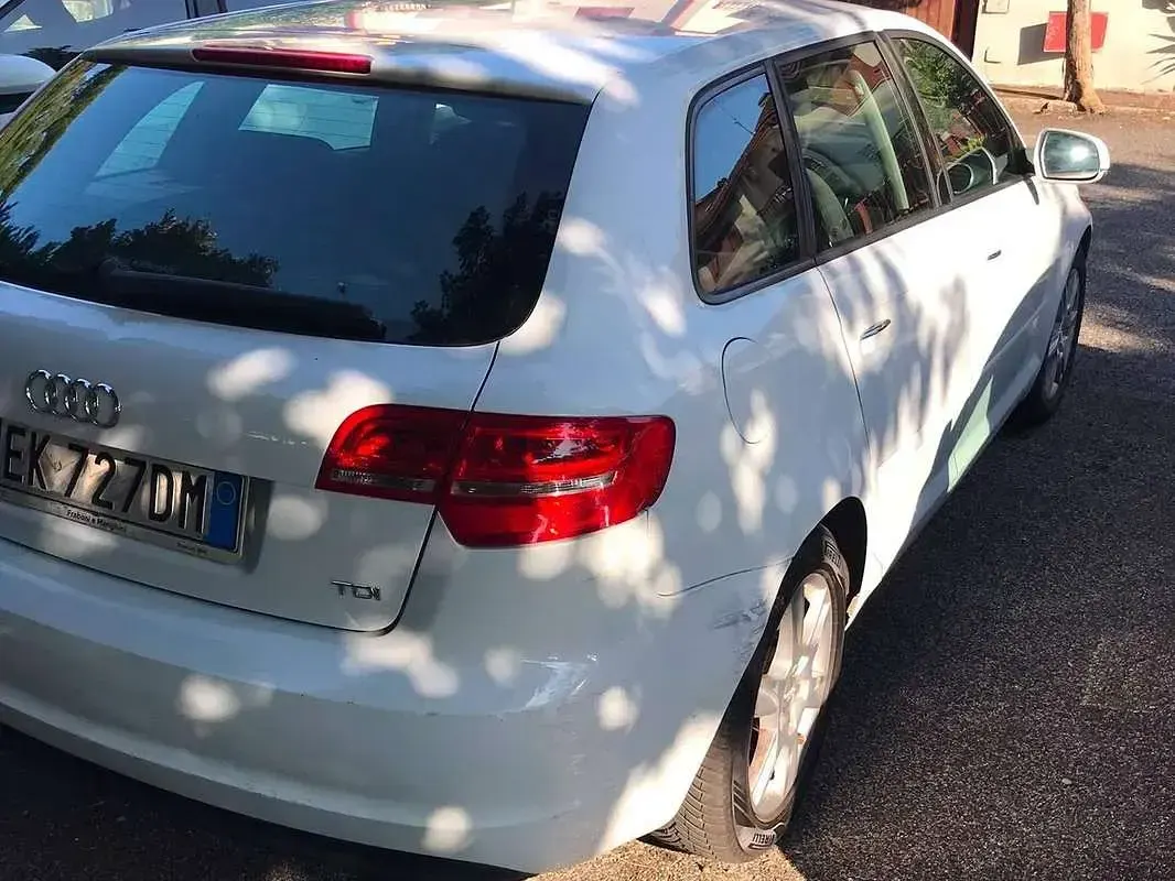 Usata Audi A3 116 CV (85 kW) 2011 Bianco Utilitaria