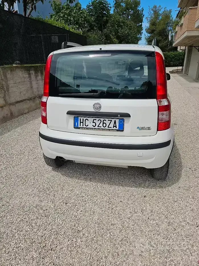 Usata Fiat Panda 77 CV (56 kW) 2012 Bianco Utilitaria