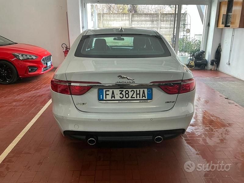 Usata Jaguar XF 300 CV (220 kW) 2015 Bianco Station wagon