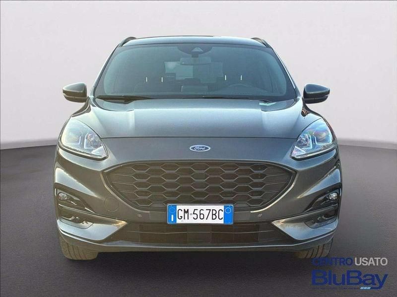 Usata Ford Kuga ST-Line 224 CV (164 kW) 2023 Grigio SUV