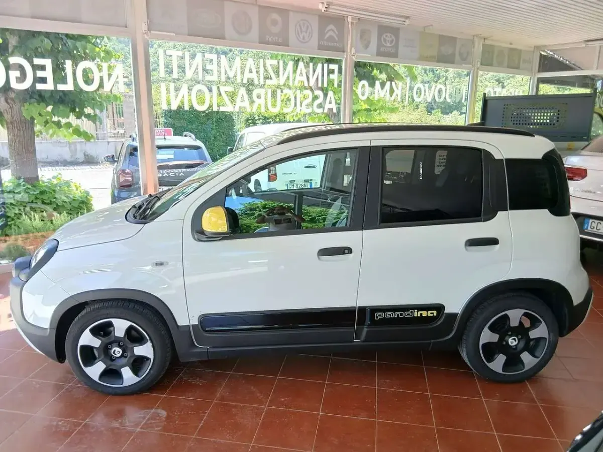 Usata Fiat Panda 69 CV (50 kW) 2025 Bianco gelato Utilitaria