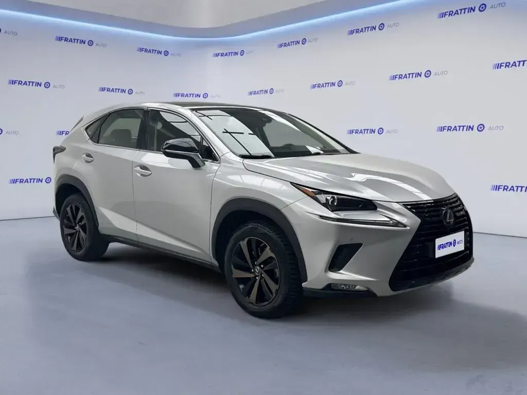 Usata Lexus NX300h Luxury Line 155 CV (114 kW) 2019 Grigio argento SUV